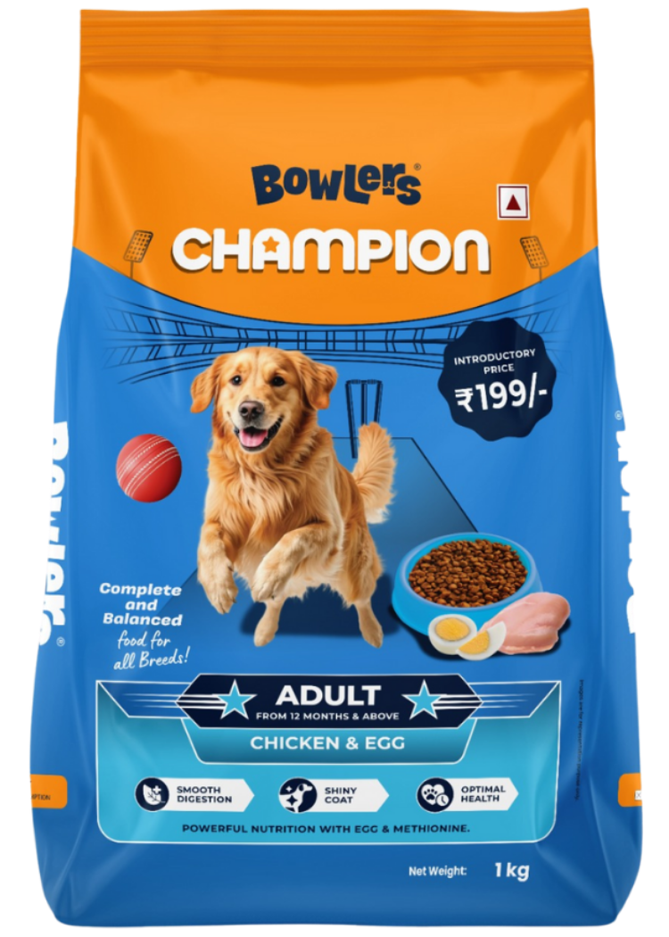 Adult Dog