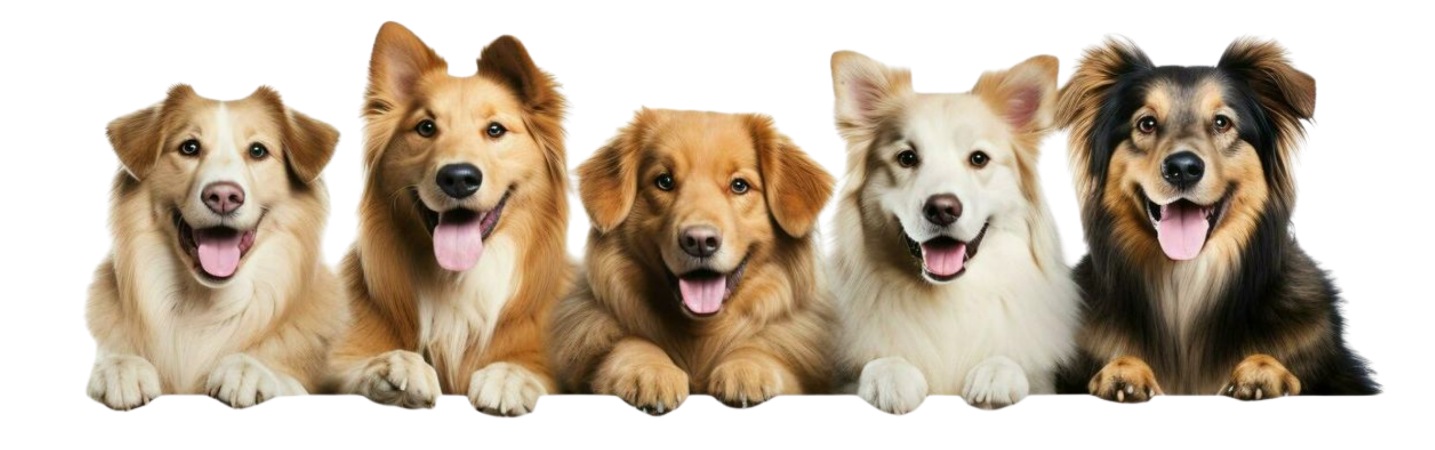 Dogs Image