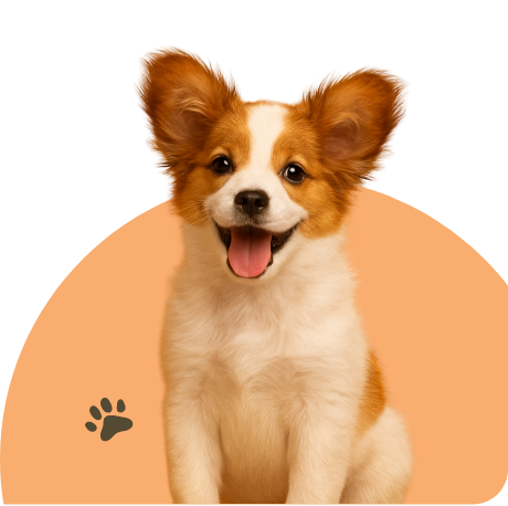 Puppy Dog
